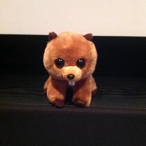 Meet your Posher, Guy